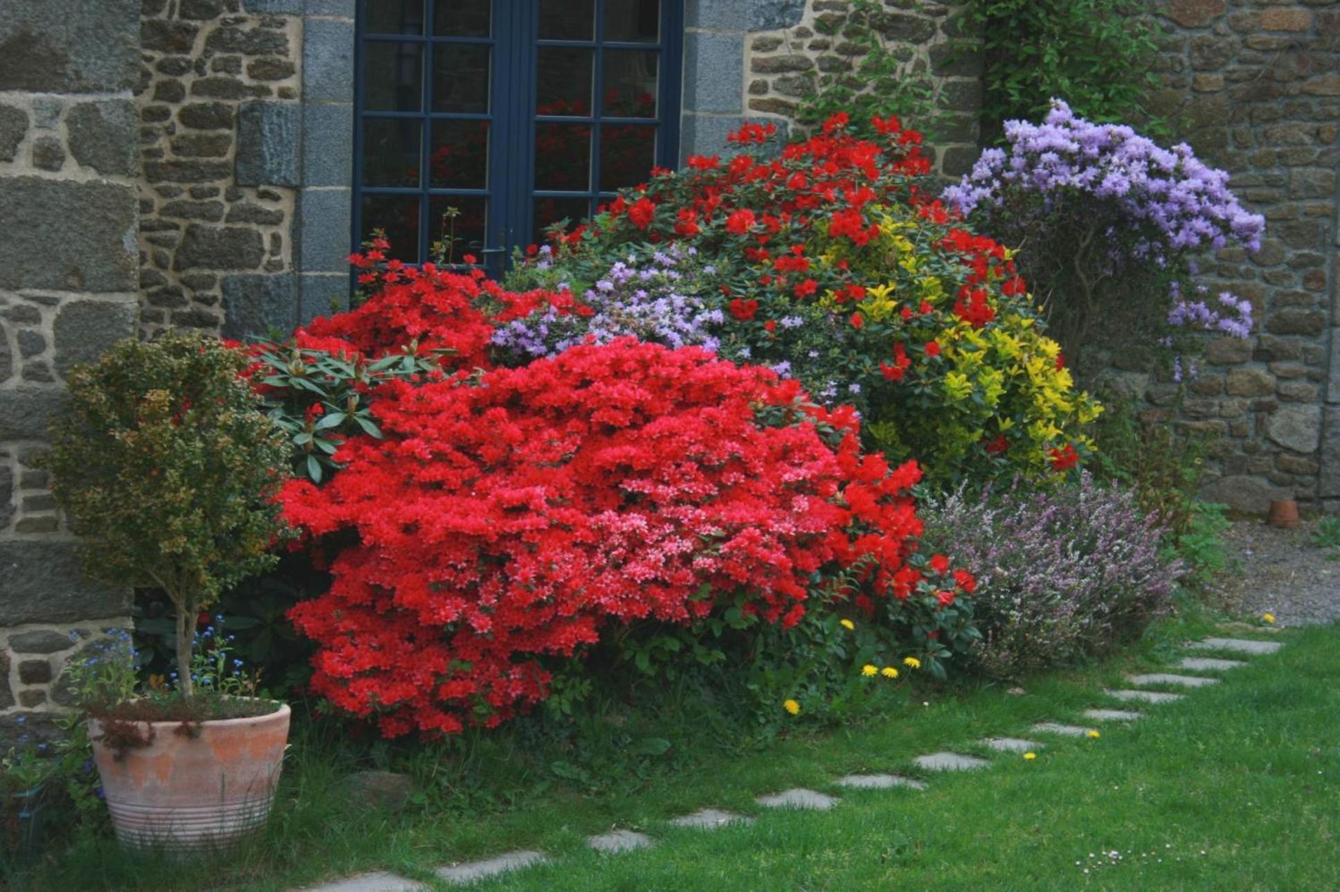 Bed and Breakfast Au Pont Ricoul Saint-Pierre-de-Plesguen Екстер'єр фото
