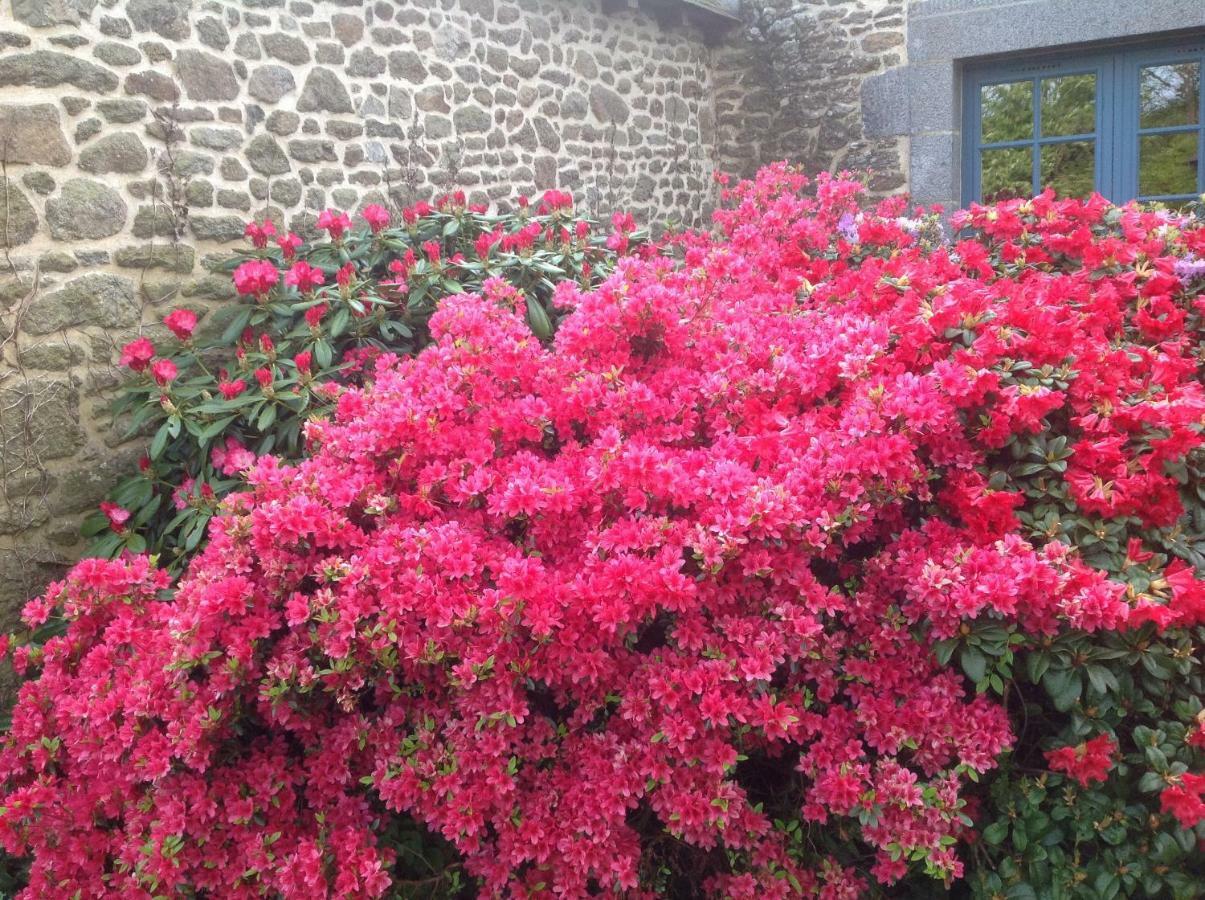 Bed and Breakfast Au Pont Ricoul Saint-Pierre-de-Plesguen Екстер'єр фото